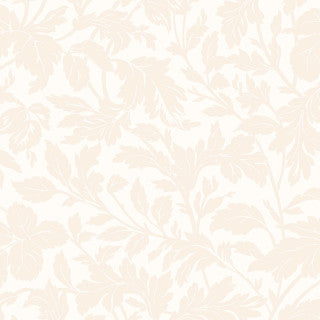 Maywood Studio - Regal Rose