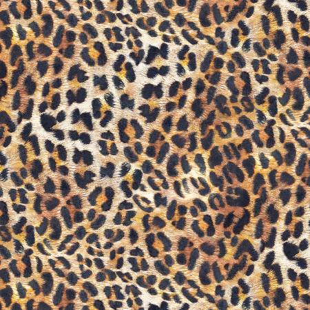 P & B - On Safari