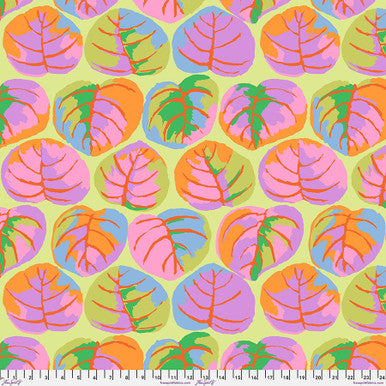 Free Spirit - Kaffe Fassett - February 2025
