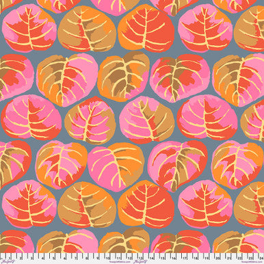 Free Spirit - Kaffe Fassett - February 2025