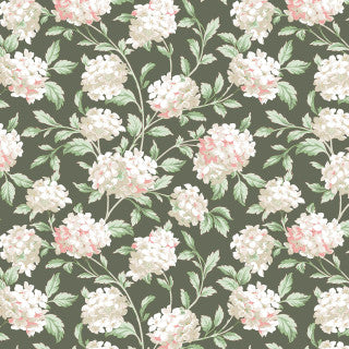 Maywood Studio - Regal Rose