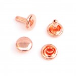 Sallie Tomato - Rivets