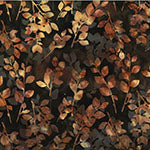Hoffman - Sweet Sandalwood