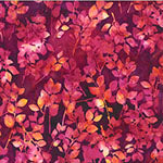 Hoffman - Shirley Temple
