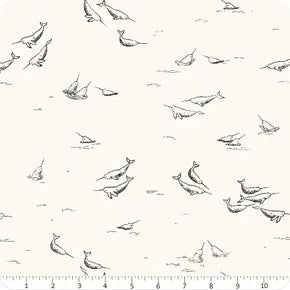 AGF - Arctic Tale Capsule