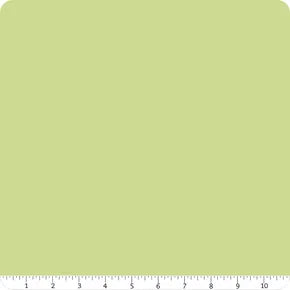 Riley Blake - Confetti Cottons - Purple Green