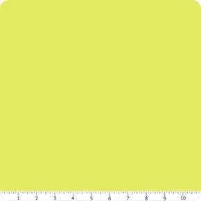 Riley Blake - Confetti Cottons - Purple Green