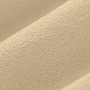 Shannon Fabrics - Cuddle 3