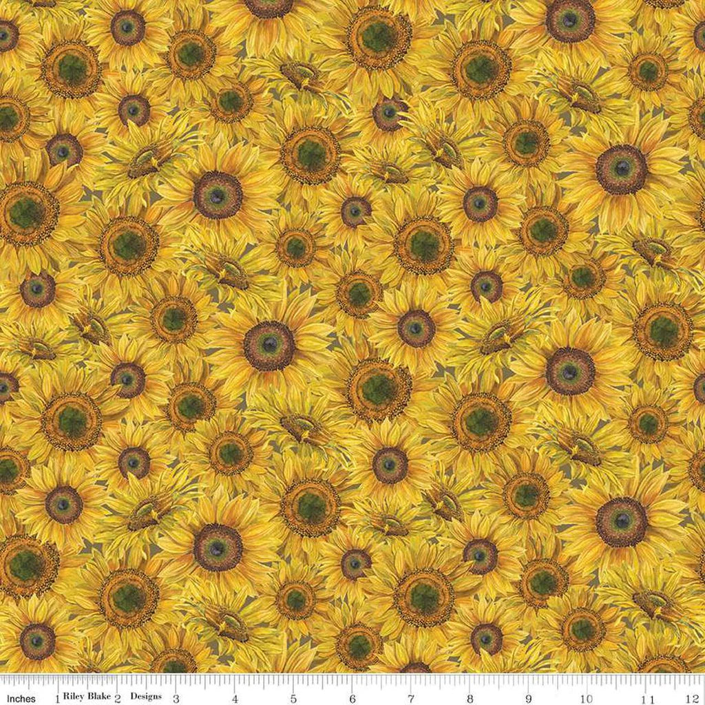 Riley Blake - Honey Bees and Flowers Please