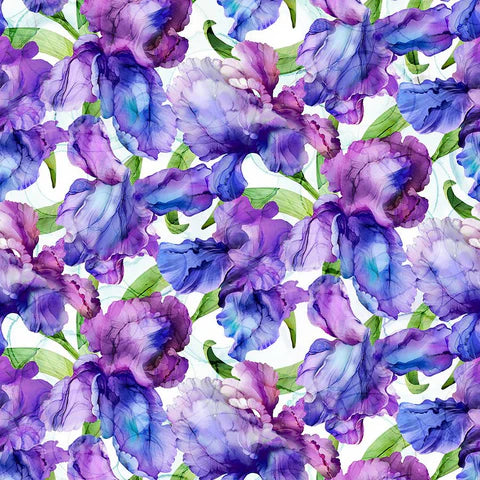 Northcott Fabrics - Infatuation