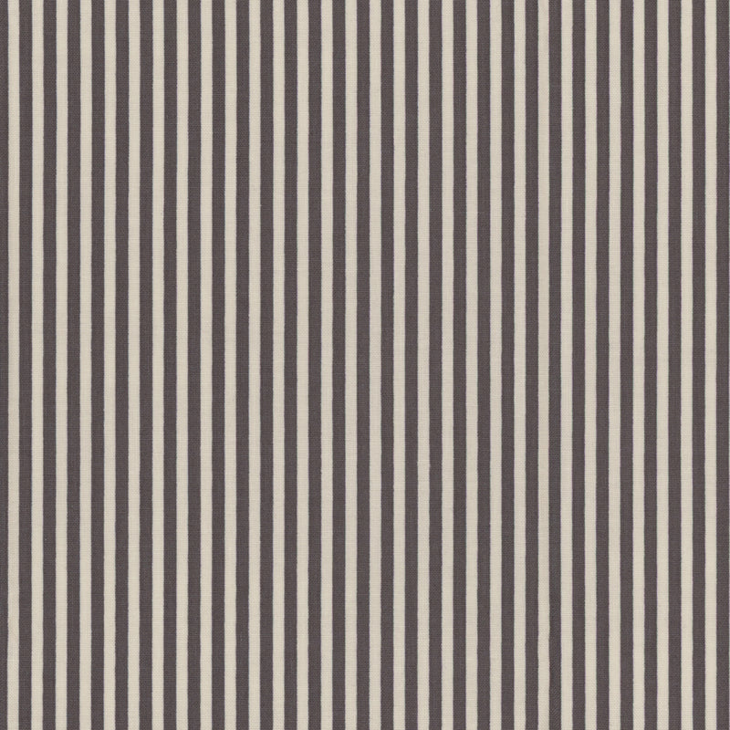 Riley Blake - Stripes