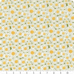 Riley Blake - Sunshine & Dandelions