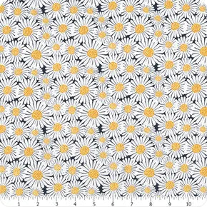 Riley Blake - Sunshine & Dandelions