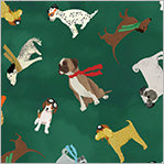 Windham Fabrics - Up Up and Awoof