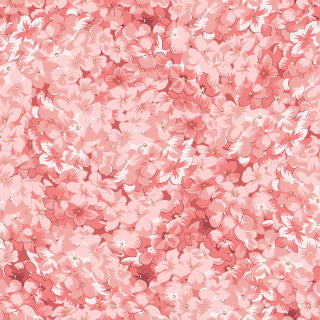 Maywood Studio - Regal Rose